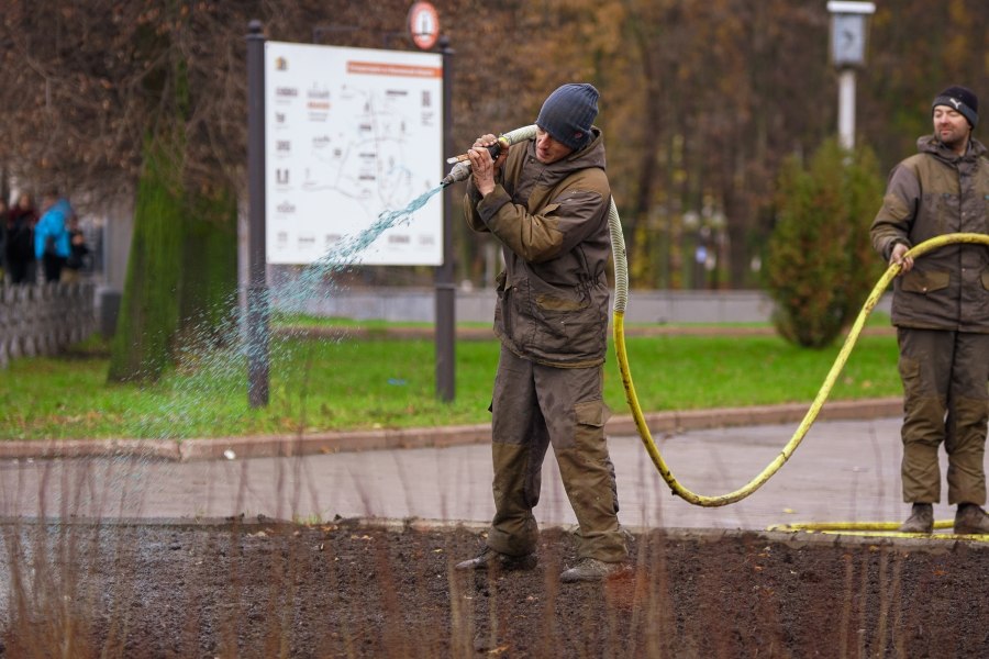 Гидропосев газона технология