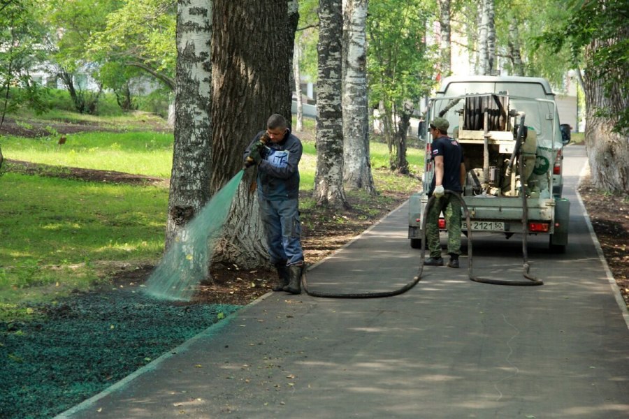 Газон методом гидропосева