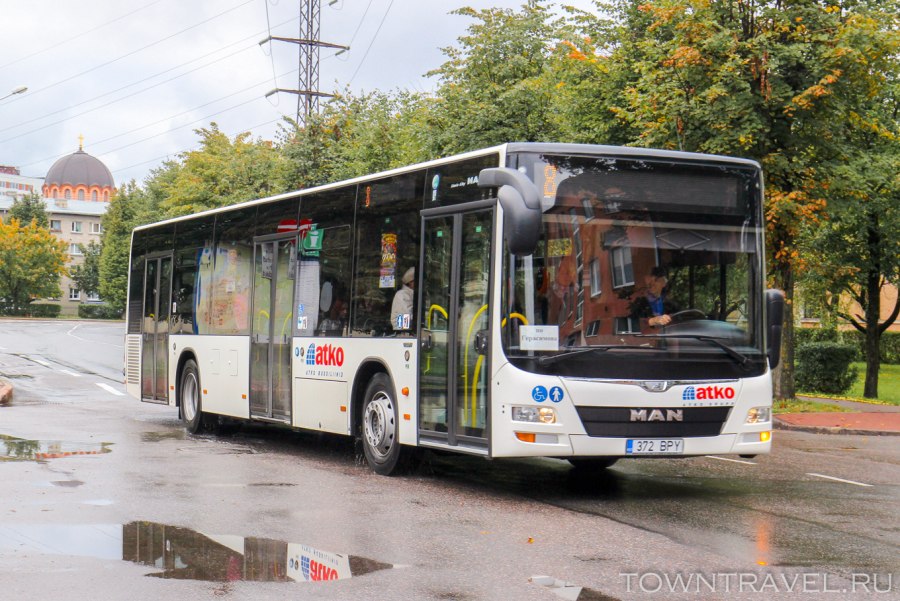 Нарвская автобусы