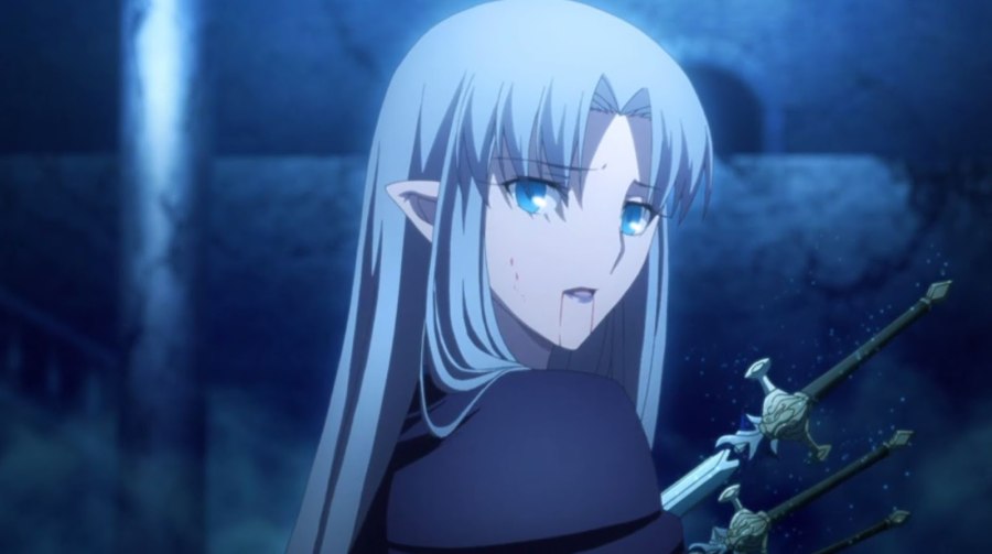 Fate stay Night Кастер