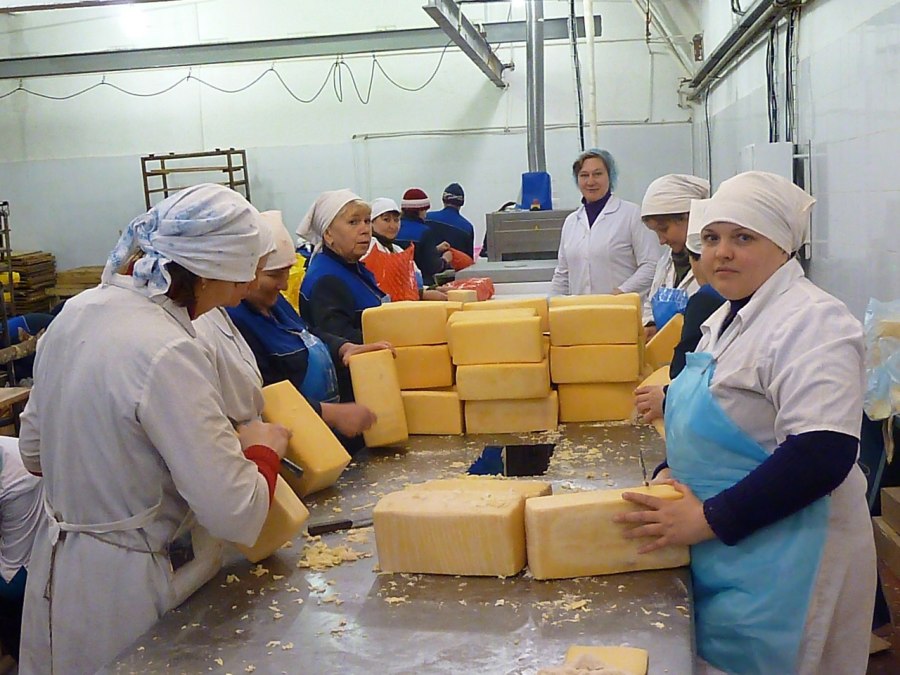 Фасовщик сыра