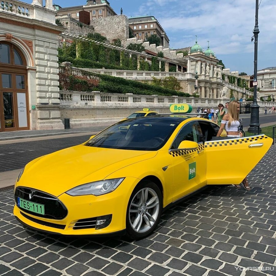 Такса в машине