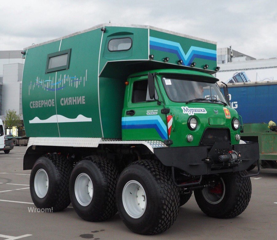 Мкм 1905 Мурашка