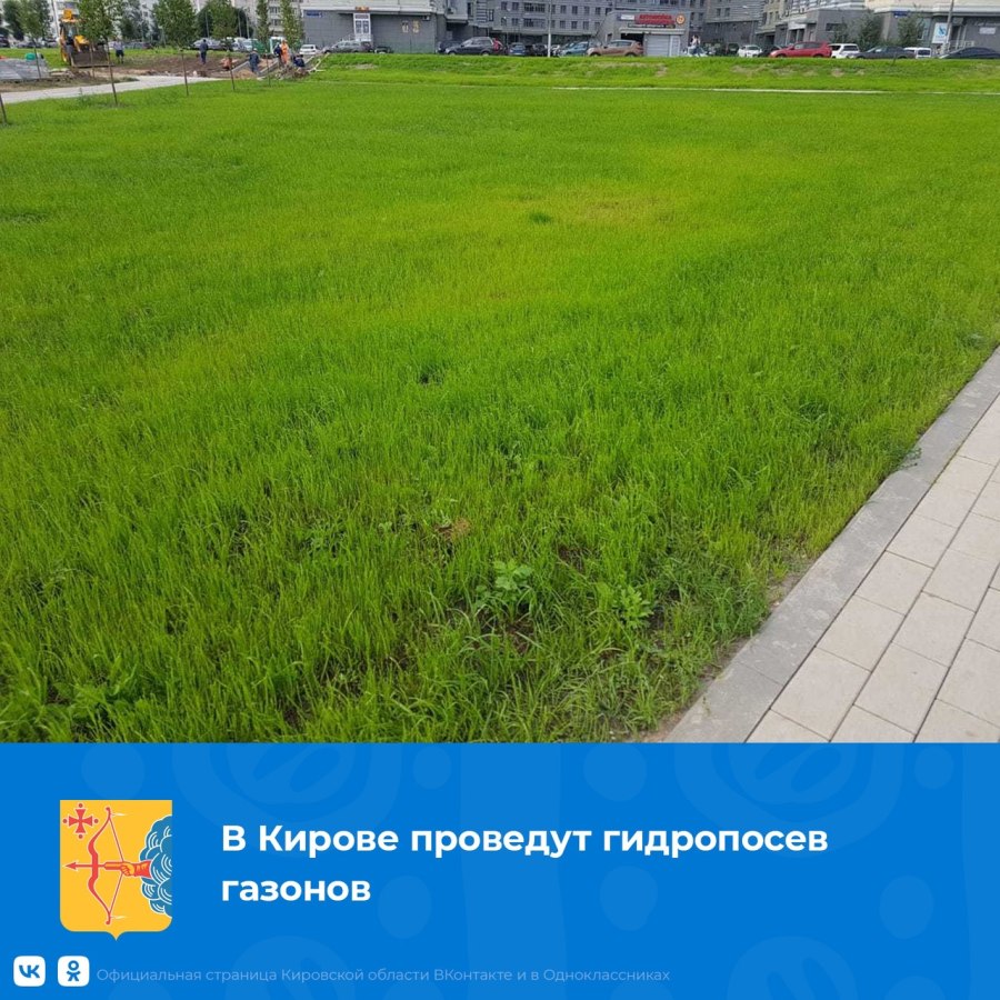 Гидропосев травы технология