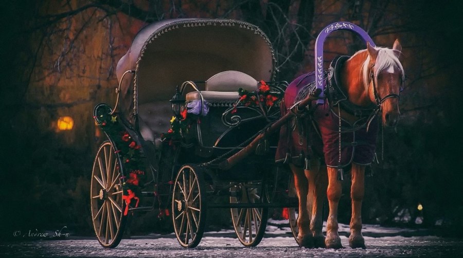 Кибитка Амишей
