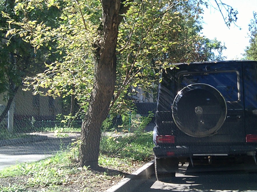 Свалка геликов
