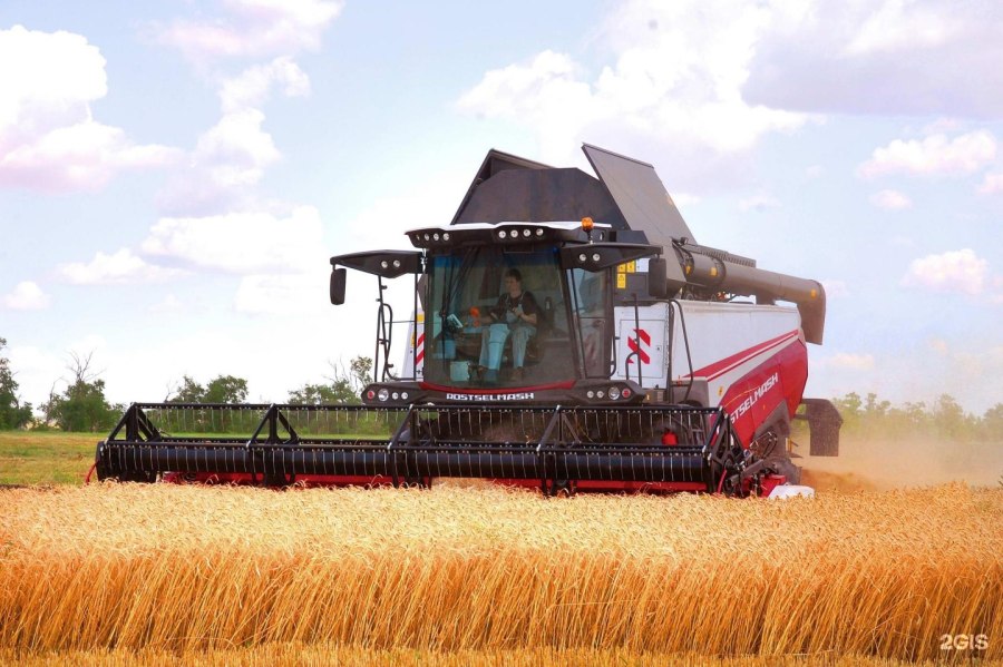 Sterh 2000 Rostselmash