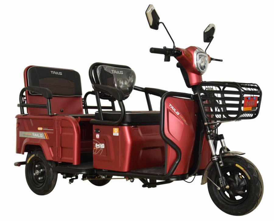 Электромопед TAILG TDL 289z