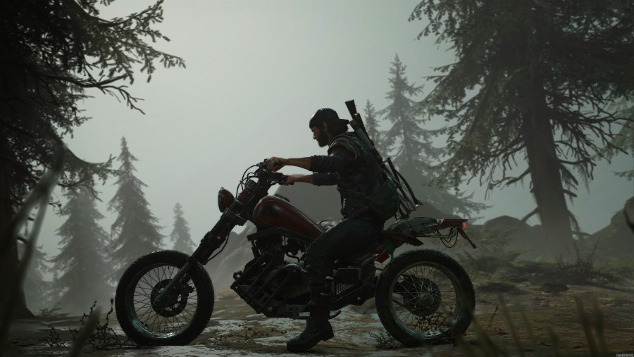 Days gone Роуч