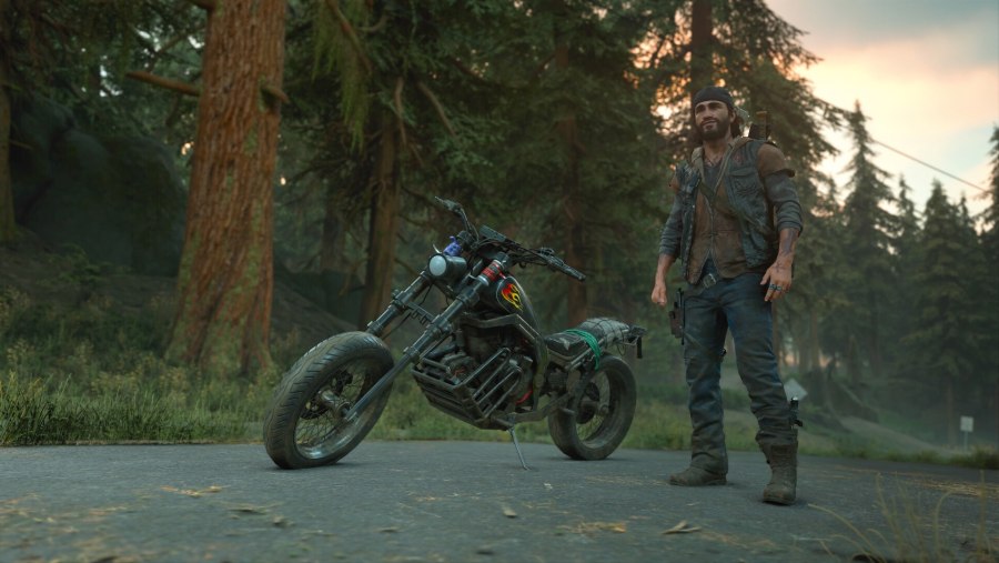 Days gone