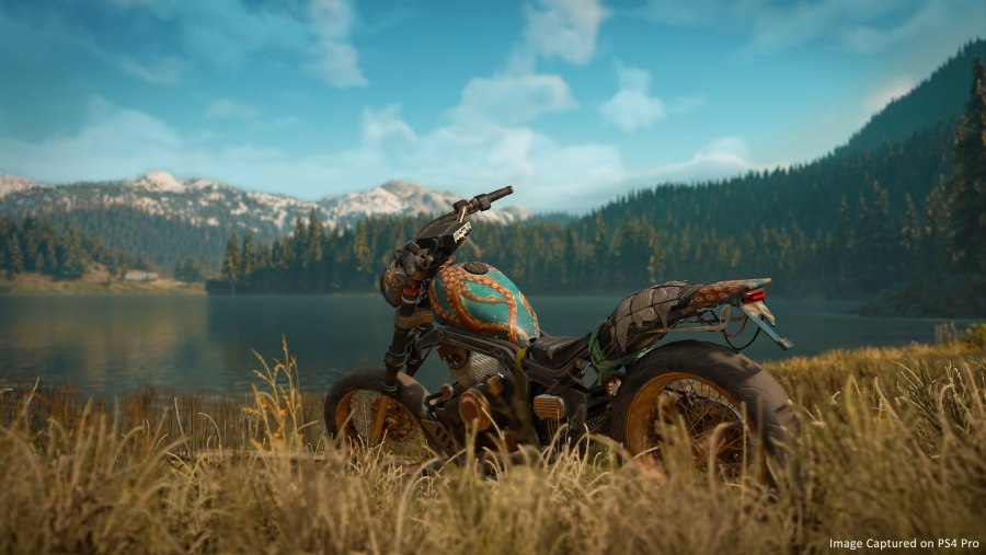 Days gone
