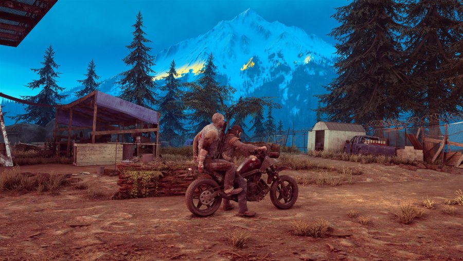 Days gone