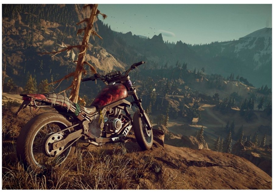 Игра Days gone