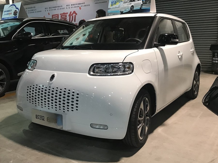 GREATWALL ora White Cat ev 2022 год.