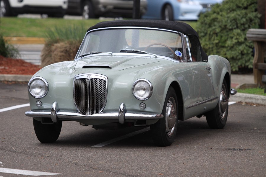 Aurelia b24